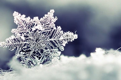 Wallpapershdview.com: Beautiful Winter Snowflakes HD Wallpapers ...