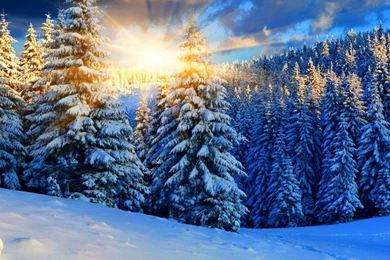 HD Wallpapers iPhone For iPhone 6