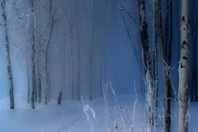 Galaxy S3 Wallpapers HD   Beautiful, Stunning Wallpapers