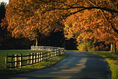 Free Fall Autumn Desktop Backgrounds