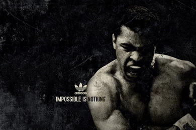 Muhammad Ali Wallpapers