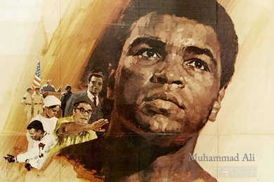 Muhammad Ali 05 Wallpapers   Boxing   Sport   Wallpapers Collection