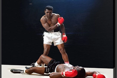 1920x1200 Boxer, Boxing, Champions, Muhammad Ali, Muhammad Ali ...