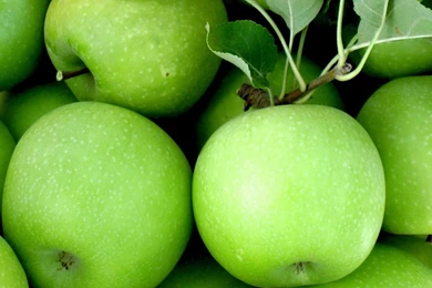 Green Apple HD Desktop Wallpapers 2 － Cate Wallpapers   Free ...