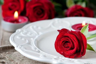 Editor's Pick For Flowers Wallpapers