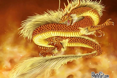 Wallpapers Download Free 11   Best Wallpapers Collection