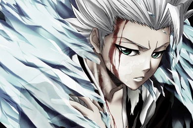 Download Bleach Shinigami Wallpapers 1920x1200