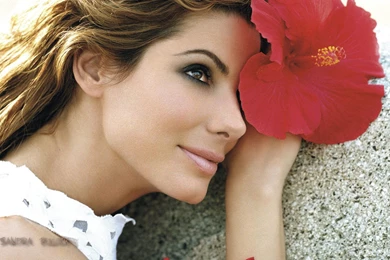 Beautiful American Hollywood Actress Sandra Bullock With Flowers ...