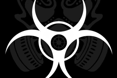 Biohazard Skull Galaxy S4 Wallpapers (1080x1920)