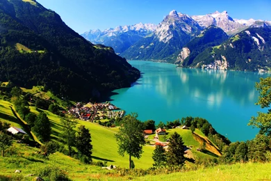 MOUNTAIN VIEW WALLPAPER   (