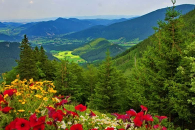 Mountain View wallpaper 31.jpg