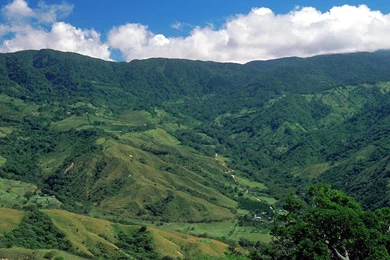 Beautiful View Wallpapers   HD Wallpapers And Pictures