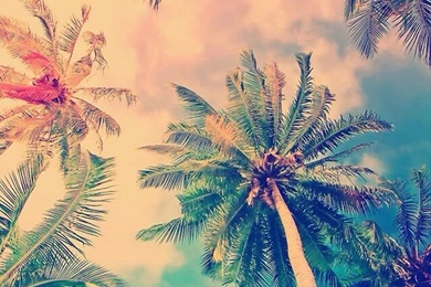 Nos Vamos A La Playa