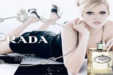 Lara Stone Wallpapers   Female Celebrity   Crazy Frankenstein