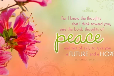 Wallpapers Christain Inspiration Inspirational Bible Verses ...