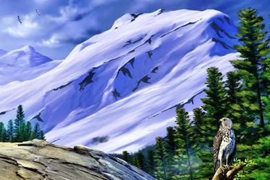 30 Plus Most Beautiful And Stylish 3d Wallpapers