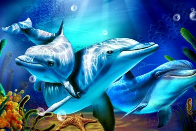 Dolphin Wallpapers