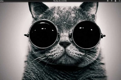 Gnome 3 Backgrounds Slideshow Ubuntu 11.10   YouTube