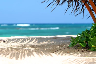 Beach Wallpapers Scenes Images Full Hd Hd Wallpapers