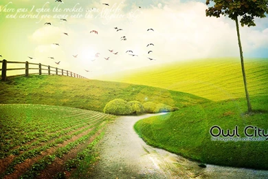 Owl City Wallpapers   Wallpapers Cave