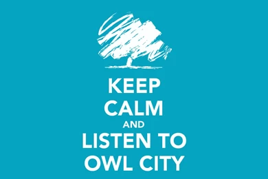 Owl City Wallpapers   Wallpapers Cave