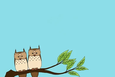 Owl City Wallpapers By XxFEExx On DeviantArt