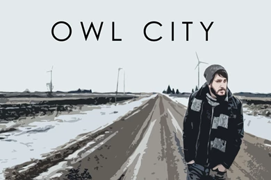 Owl City Wallpapers By ThatGuyInThePicture On DeviantArt