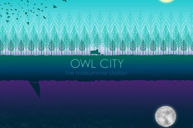 13 Awesome Owl City Wallpapers Hd Images