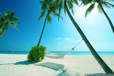 Summer Scenes Wallpapers 2   Crazy Frankenstein