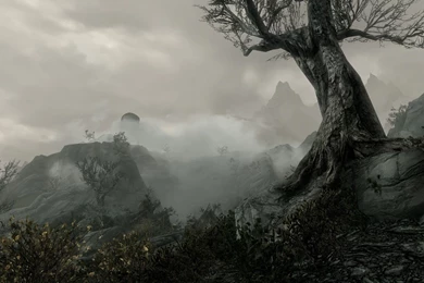 Elder Scrolls Online Wallpapers