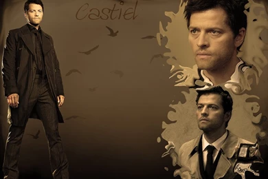 Browsing Wallpapers On DeviantArt