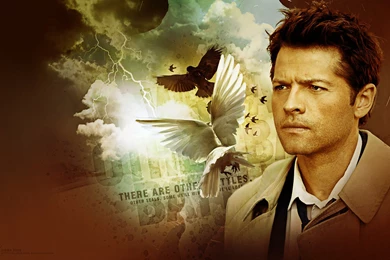 Provenance. "You're Not Like Any Art Dealer I've Ever Met."