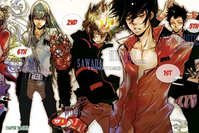 Katekyo Hitman Reborn Wallpapers << Anime Wallpapers