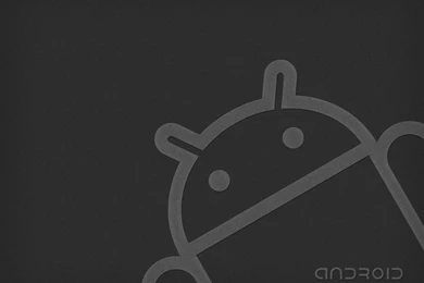 Android Wallpapers HD 1640 1920x1440 Px ~ WallpaperFort.com