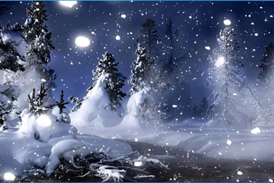 Beautiful Winter Wallpapers   Android Apps On Google Play