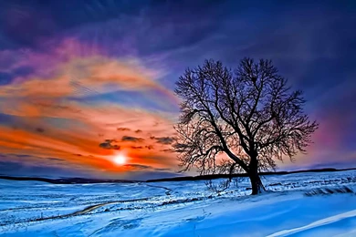 Dream Spring Beautiful Sunset