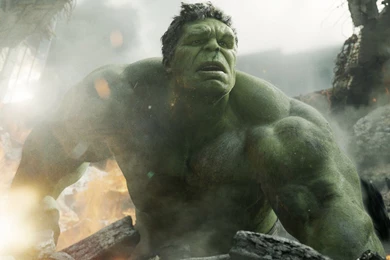 22314 The Hulk The Avengers 1920x1080 Movie Wallpapers
