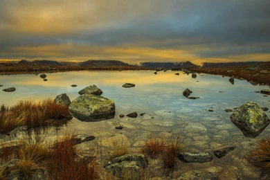 Free HD Desktop Backgrounds And Wallpapers   DeskopWalls