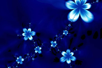 Wallpapers Cookie Monster Liccan Lover Brilliant Blue Picture And ...