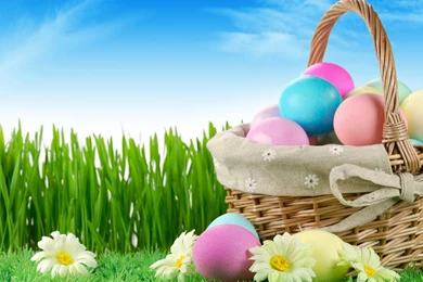 Wallpapers Paste   HD Wallpapers And Pictures