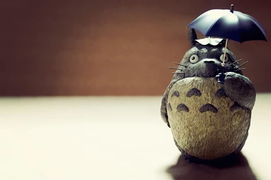 Studio Ghibli Wallpapers