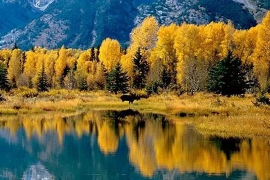 Wallpapers Keren Untuk HP Android