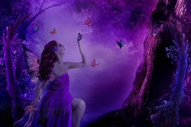 Purple Fairy < Images & Galleries