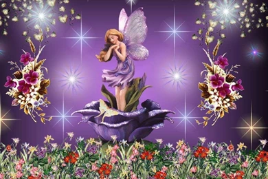 The Purple Rose Fairy Wallpapers   (