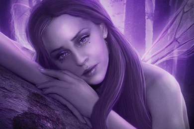 PURPLE FAIRY WALLPAPER   (