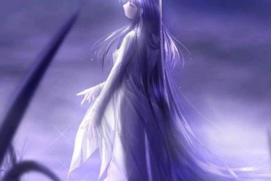 PURPLE FAIRY WALLPAPER   (