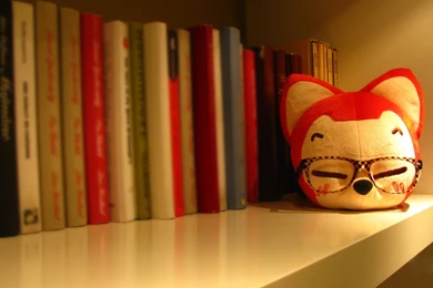 Bookshelf Wallpapers