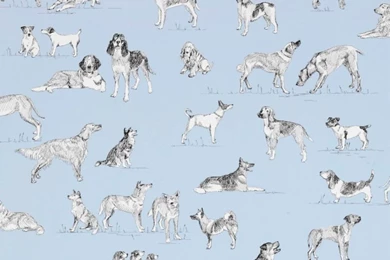 Best Friend By Thibaut : Wallpapers Direct