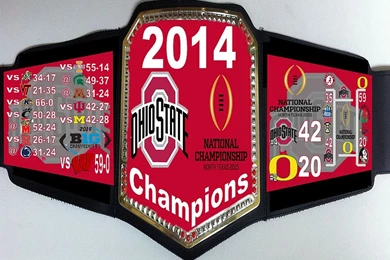 2015   Welcome To Belts For The True Fan!