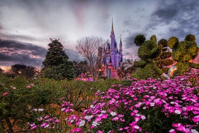 Disney World Desktop Wallpapers